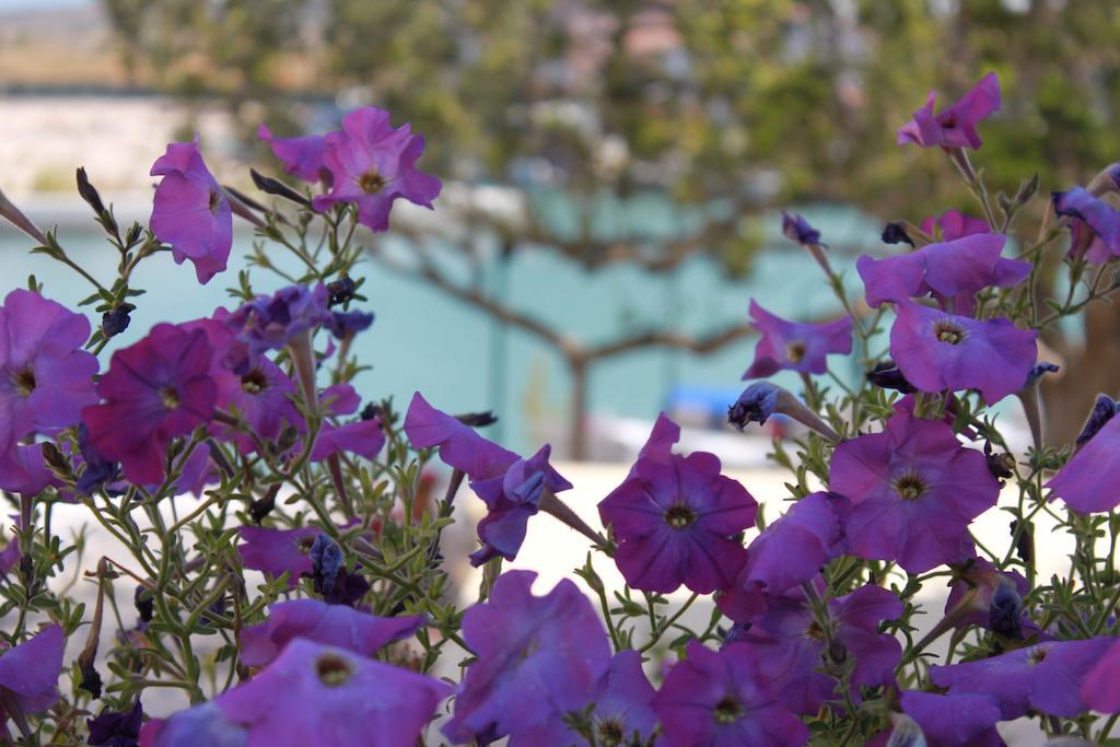 Port Villa Deniz Alacati Exterior foto